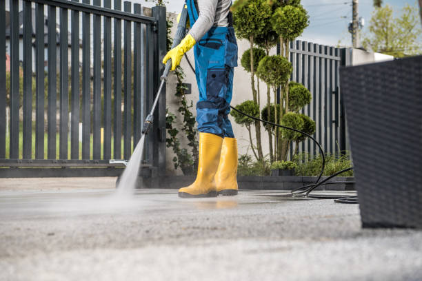 Best Roof Washing  in Dimmitt, TX